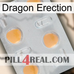 Dragon Erection 24